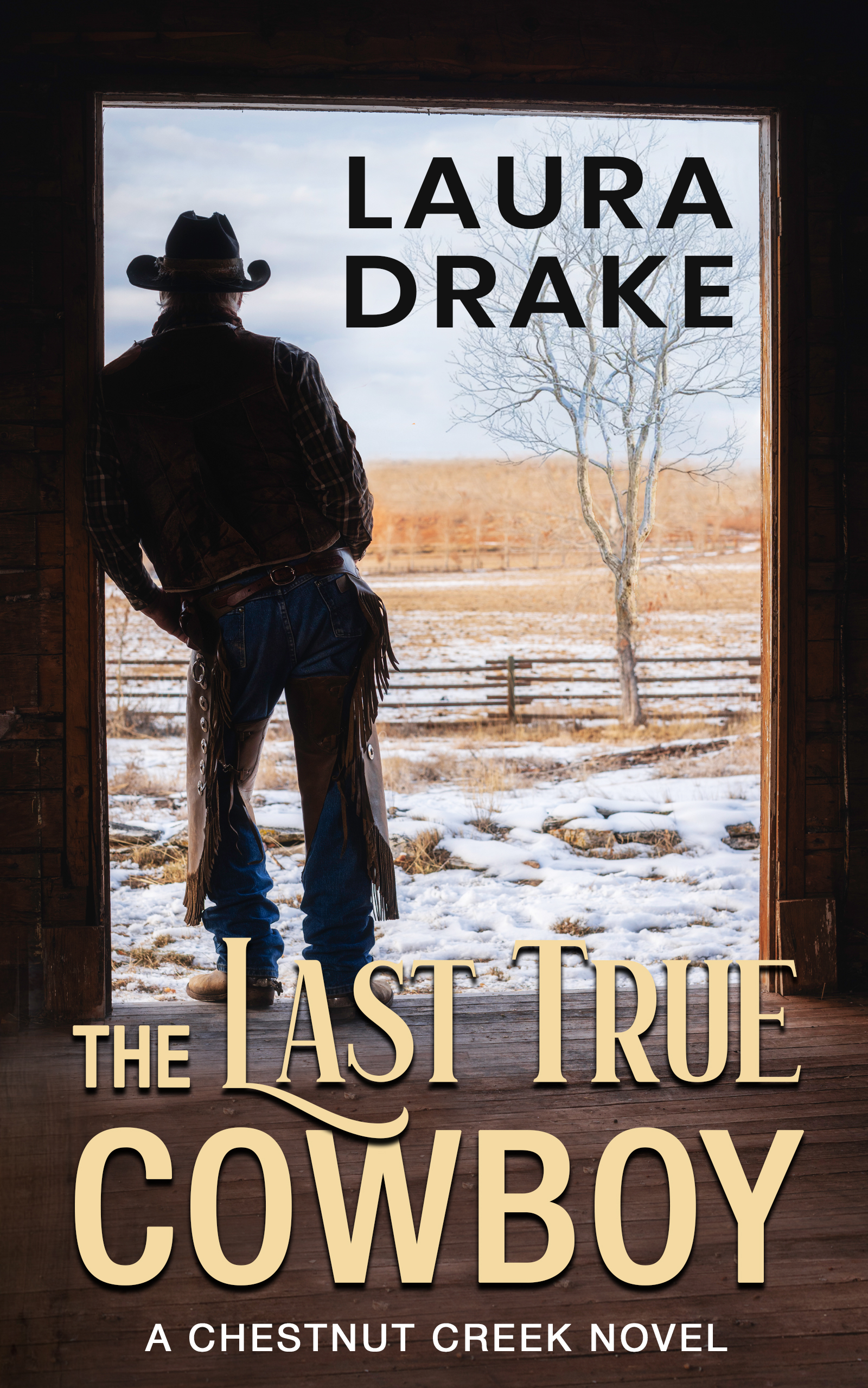 the last true cowboy eBook